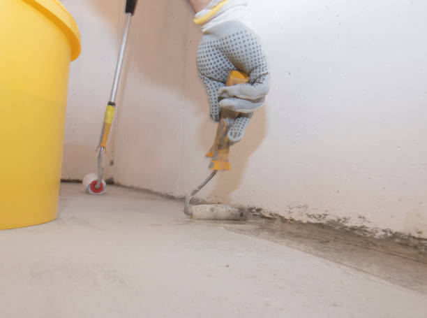 Best Termite Inspection and Treatment  in Aurora, NE